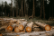 Déforestation