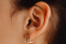 Lobe