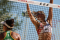 Beach-Volley