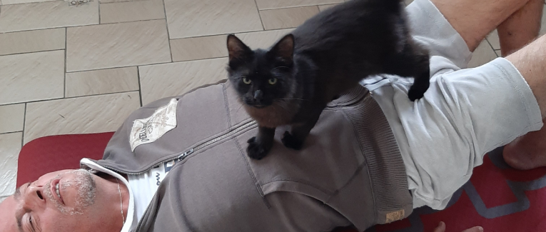 La légende du chat noir ...