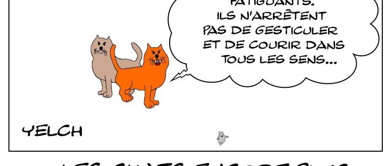 les chats apprécient encore moins le déconfinement