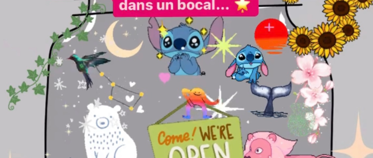« La tombée de la nuit ne fait pas de cadeaux aux Stitch »