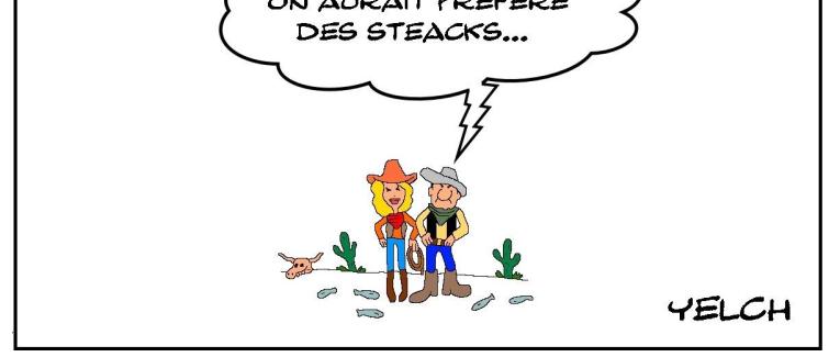 Pluie de poissons au Texas