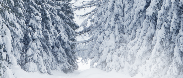 Traverser l’hiver …