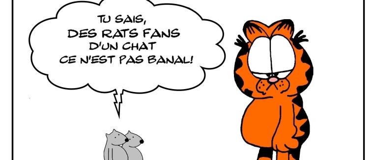 Hommage à mon chat préféré