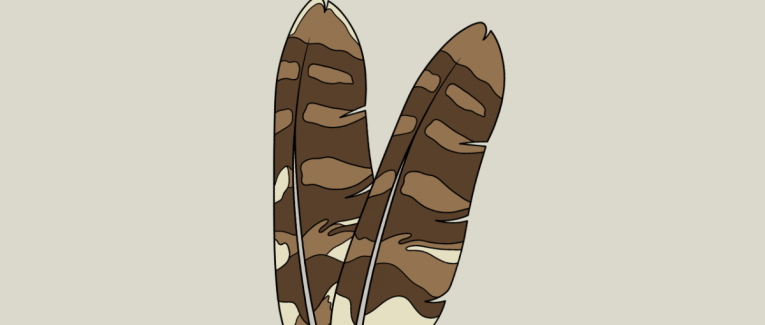 Le Messager aux plumes marbrées