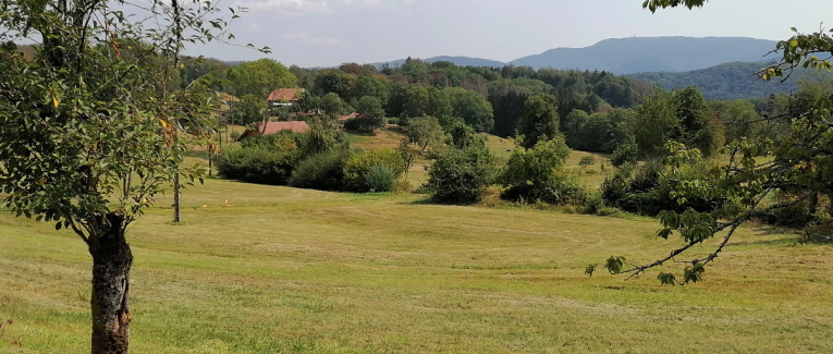 Exercice d'écriture 5 mots imposés (en caractère gras)