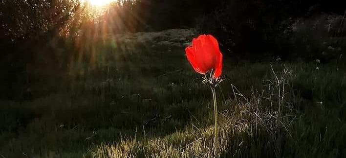 Un Amour Plus Sincère..