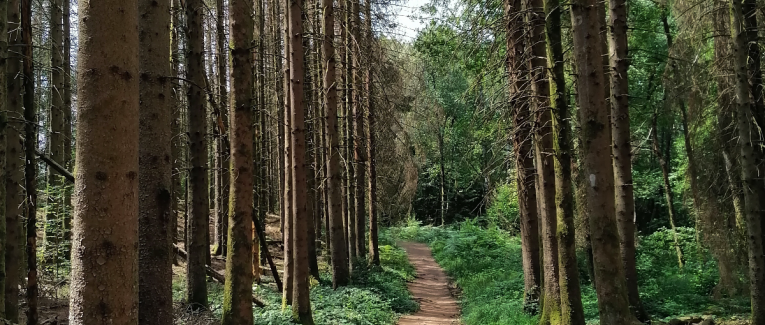 Concours de nouvelles dans le cadre du Trail Passe Partout : thème "le dernier ravito".