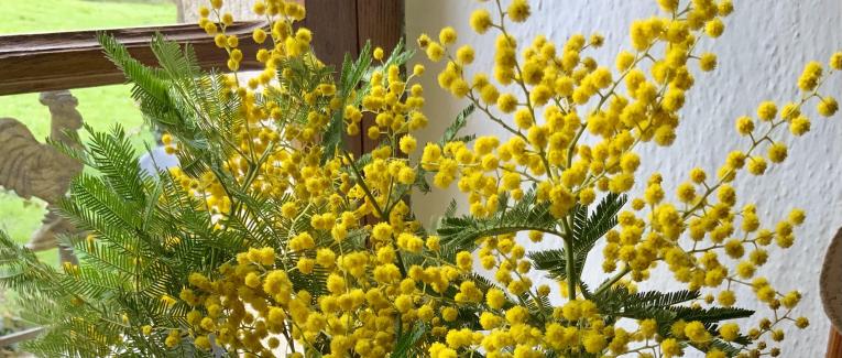 Votre bouquet de ce dimanche
