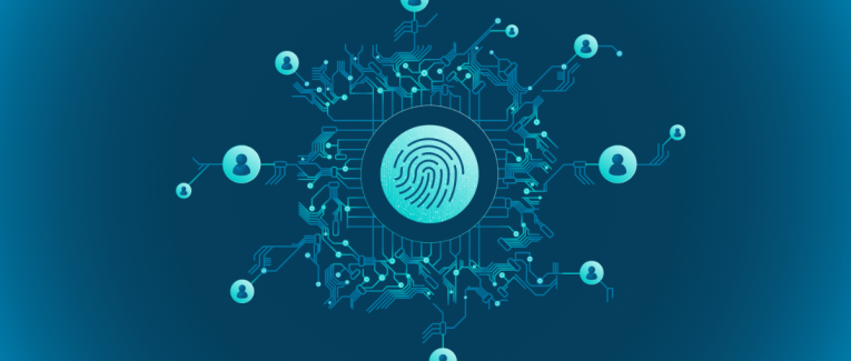 Auteurs Panodyssey Visibilité Semaine 3