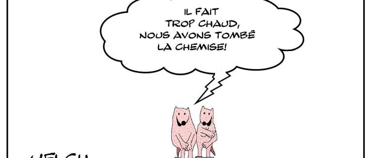 Dépoilant