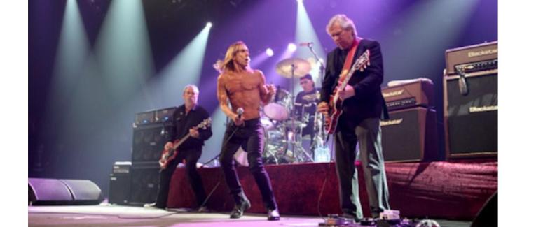 I wanna be your dog – L'ombre des Stooges