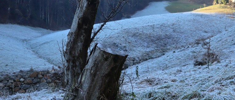 Der Dopamin-Loop und Anhedonie
