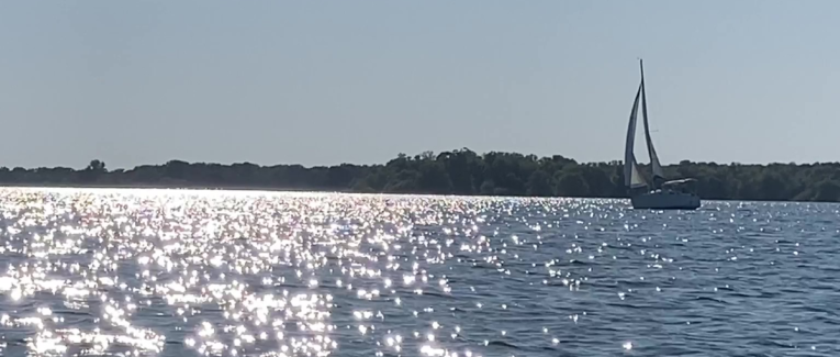 Catway 47 - Chaleur estivale sur le lac de la forêt d’Orient