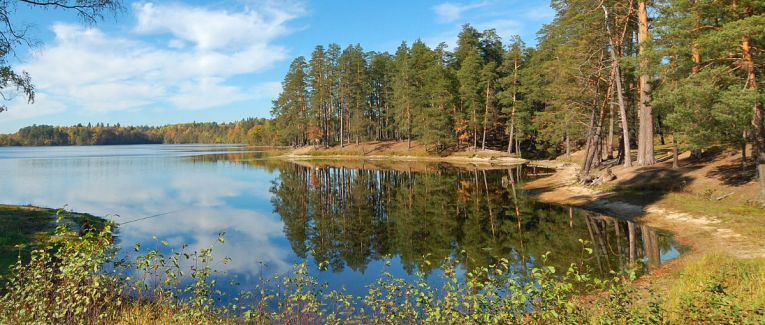 Avis lecture : La Colonie, d'Annika Norlin