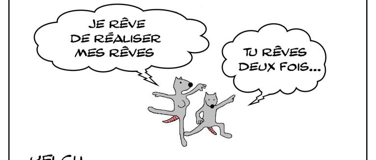 Réalise tes rêves mais ne rêve pas trop...
