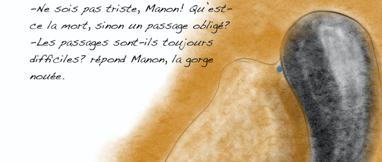 18. Clan Destin - Le troisième Larron