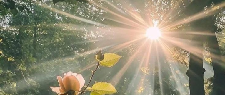 Sois heureux...