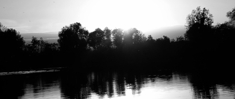 Ma culture du Bonheur