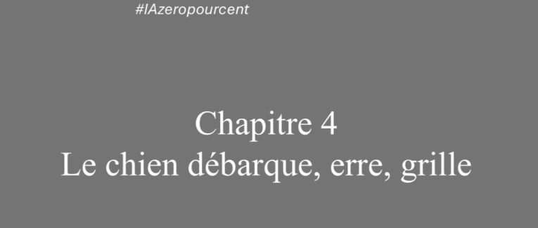 Chapitre 4: Le chien débarque, erre, grille