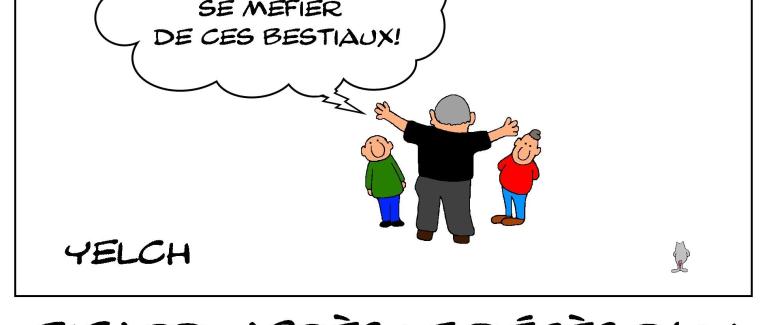 J'ai toujours peur des chauves-souris