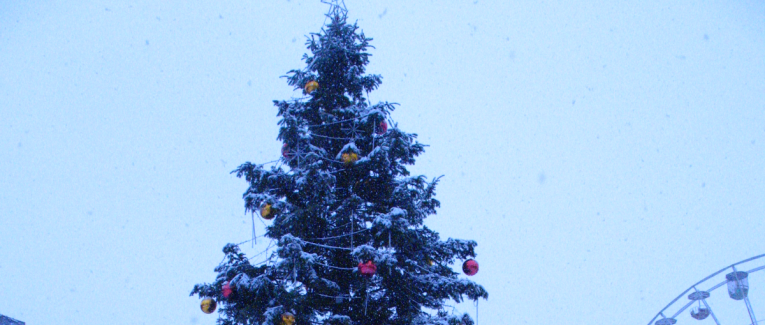 Le sapin