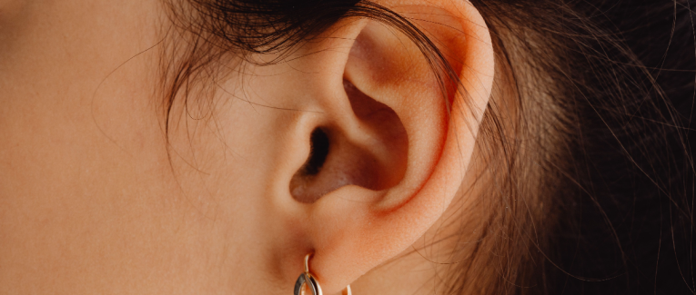 Lobe