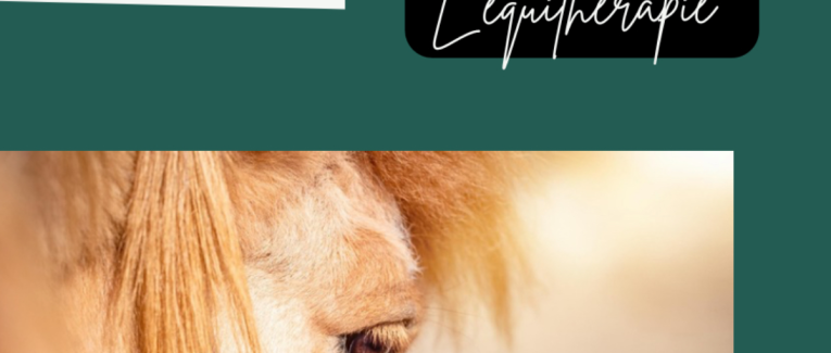 L’équitéraphie