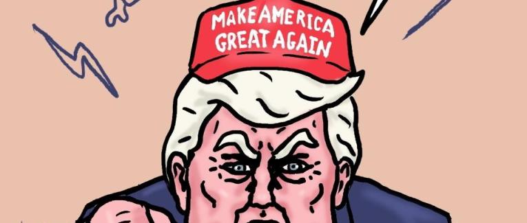 élections de mi-mandat : Trump a perdu son pari !