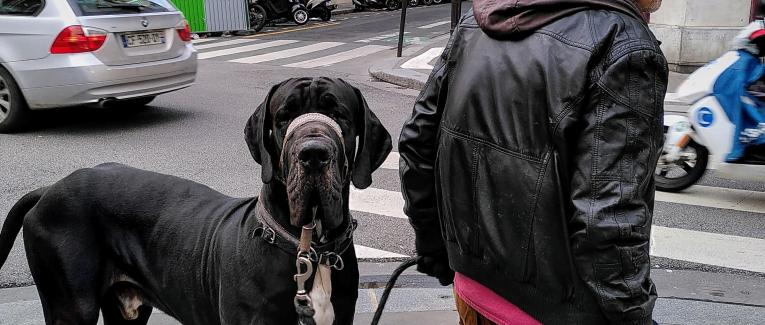 L'homme qui n'était plus seul