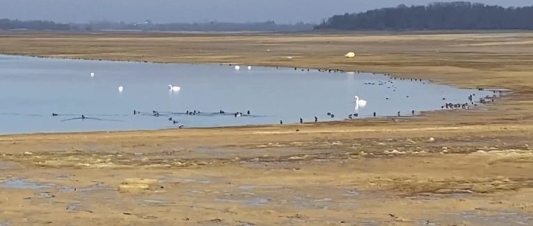 CTW47 - Lac de la forêt d'Orient : janvier 2026