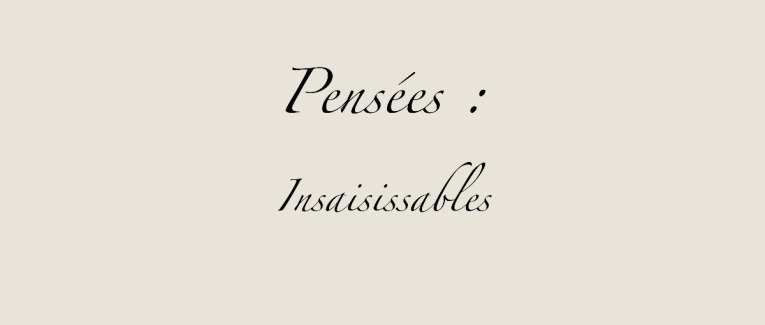 Insaisissables