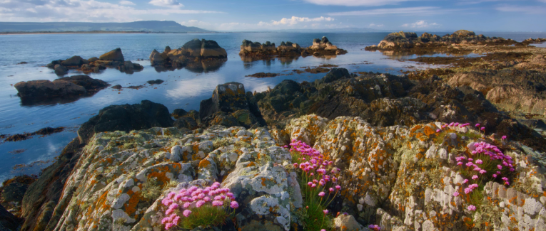 Belle Irlande