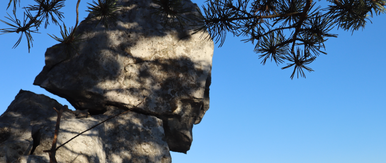 La psychologie des profondeurs moderne derrière les tragédies d'Uli Emanuele et de Gigi Wu