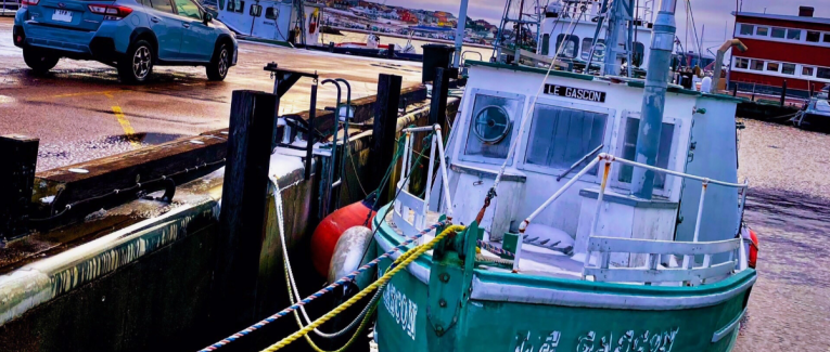 Le Gascon