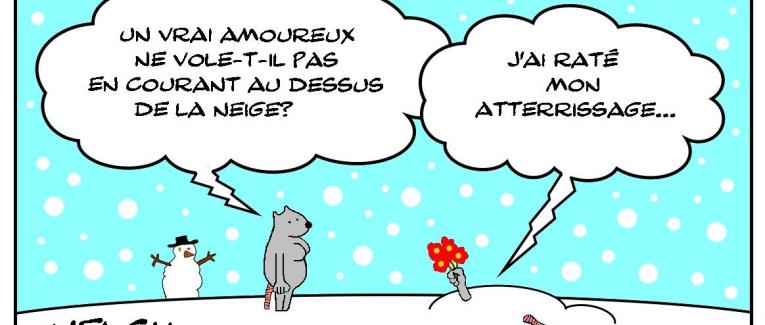 Amour z-ailé