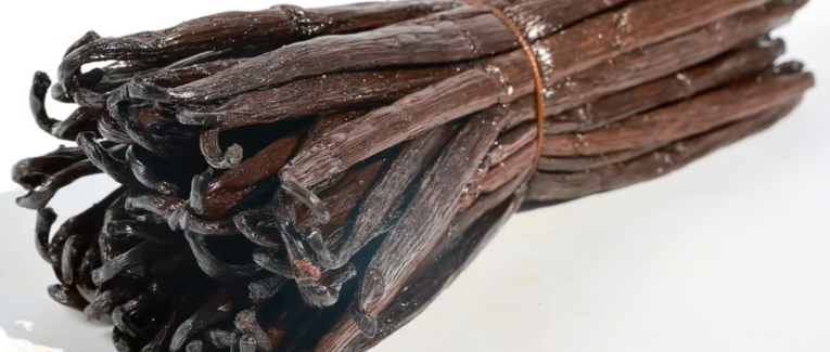 Vanille : les secrets sauvages qui pourraient sauver l'épice la plus précieuse au monde
