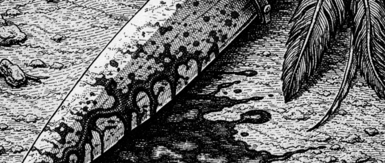 Chapitre 12 – Le jugement