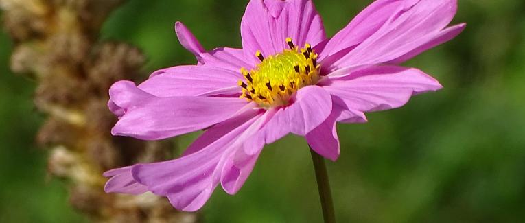 Photos artistiques et originales