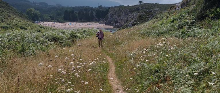 Le chemin des mots