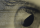 Directive Content-Signal