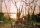 Working Notes/ Similarities between the Myths of Ophelia and Melinda (a poem)