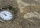 Distance