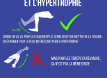 Les courbes de résistance et l'hypertrophie
