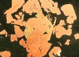 L'Œuf des Étoiles
