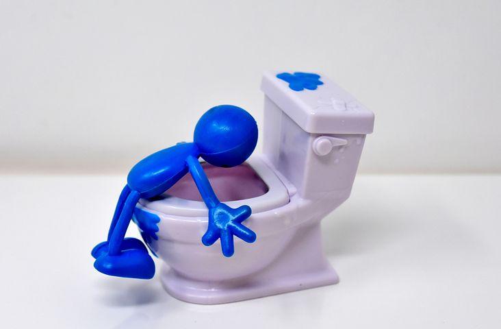 Vomissure