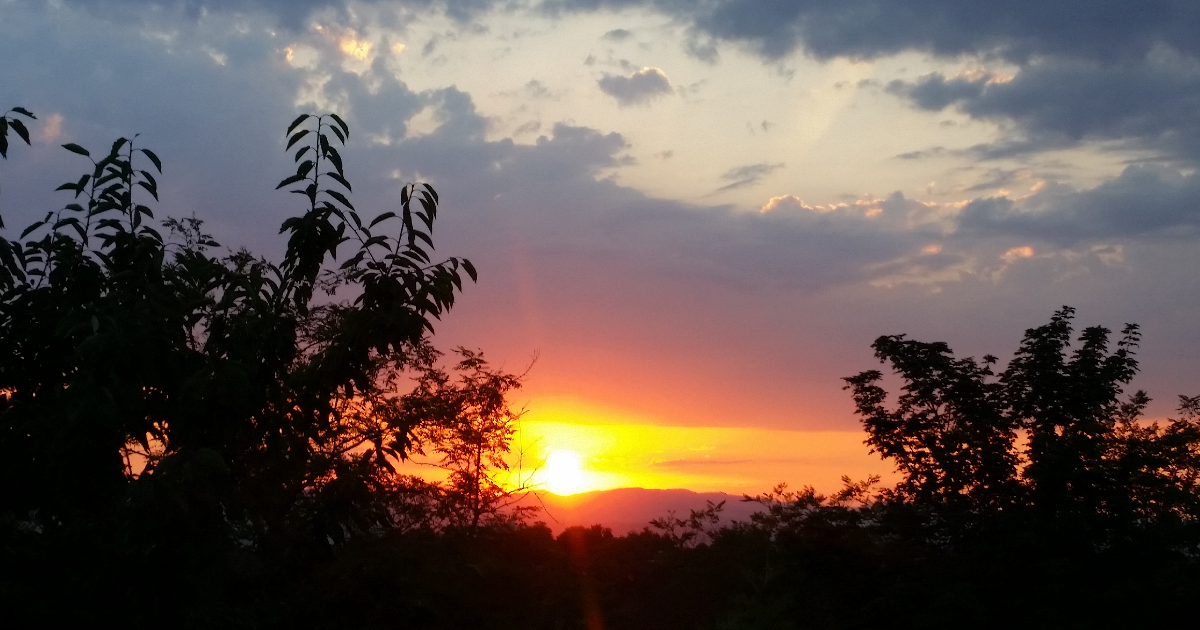 Le Soleil du bal