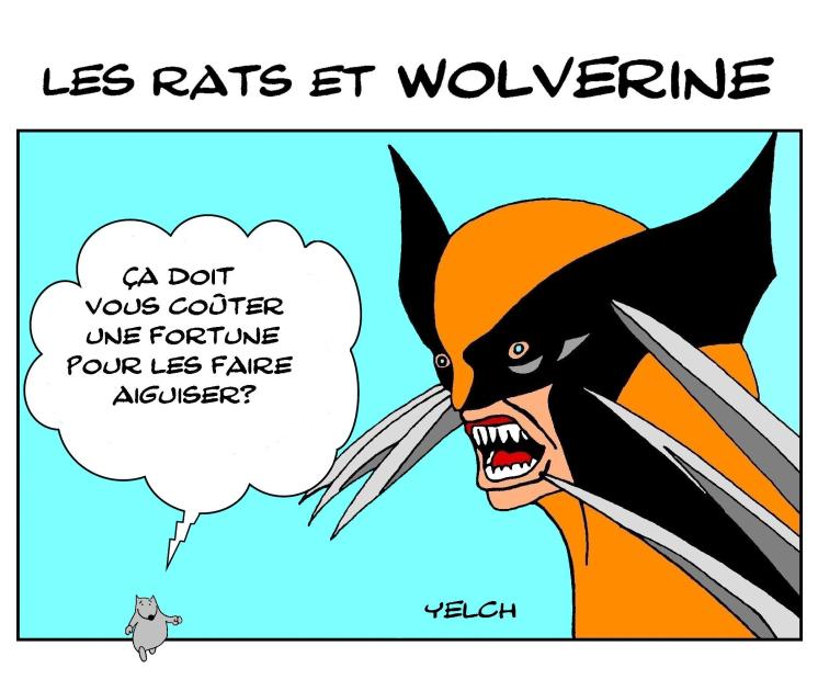 Wolverine , le rat et le rémouleur