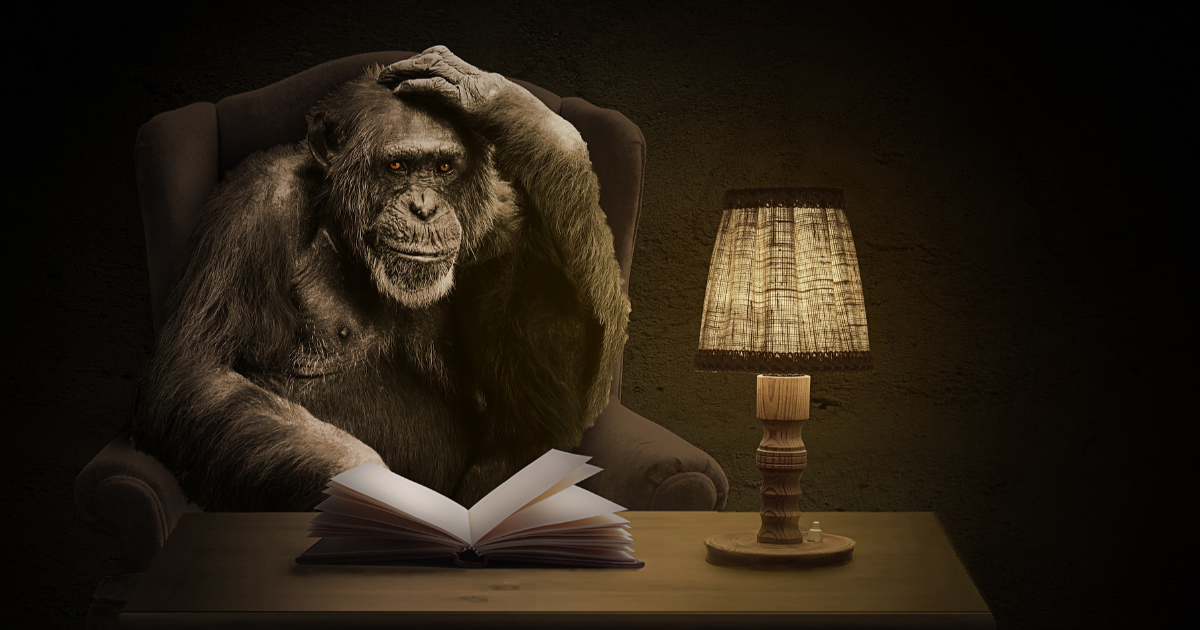 Le singe